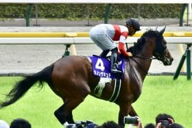 マイルCS（G1）北村友一「不憫な降板劇」から2年…人馬が目指す完全復活