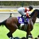 「大物馬主」がR.ムーアと5年ぶりタッグ、噂の怪物候補がついにデビュー