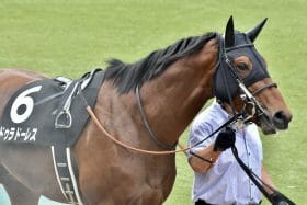 JRA未完の大器ドゥラドーレス「逆襲」へ必勝態勢！「新パートナー」は昨年ソーヴァリアントを導いたあのジョッキー