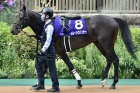 【関屋記念（G3）展望】ルメールが復帰！エアグルーヴ一族とコンビ