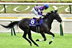 【京都金杯（G3）展望】安田記念1番人気イルーシヴパンサーVS横山典弘マテンロウオリオン！マイル初挑戦のオニャンコポン大変身なるか