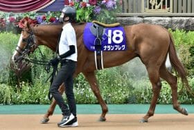 【オーシャンS（G3）展望】昨年の高松宮記念覇者が始動！混戦スプリント界の「新星候補」4歳馬2頭も登場！