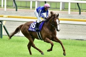高松宮記念（G1）ナランフレグ「連覇」に立ちはだかる歴史。過去の連覇はあの馬だけ