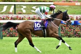 JRAレシステンシアに起きた元・主戦騎手との「運命」の交差…すれ違いの骨折判明で「最後の秋」の出走は