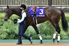 関屋記念（G3）「ゴルシの許嫁」が主戦と初タッグ！ 一昨年の覇者ロータスランドが夏の新潟で復活を期す