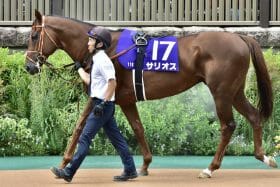 【毎日王冠（G2）展望】サリオス、レイパパレらG1ウイナー4頭が集結！G1に最も近い？“スーパーG2”で復活を遂げるのは……