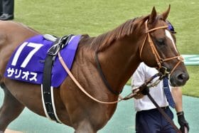 「怪物」揃いの3兄弟が秋競馬を席巻!? 天栄場長が絶賛した3歳のホープ