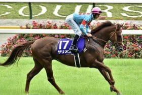 サリオスの可能性奪った厩舎にファン不満…残念過ぎた期待度MAXからの不戦敗