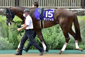 ダノンスコーピオンやシュネルマイスターも涙…NHKマイルCは「敗者」に妙味あり？