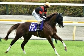 池添謙一「世知辛い時代」の悲劇が繰り返す!? 富士Sを勝っても降板の危機