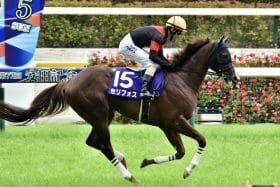 安田記念（G1）勝利ならセリフォスはタイキシャトル級!? ダノンスコーピオンらに当てはまる「絶望データ」と、ガイアフォースらに当てはまる「後押しデータ」