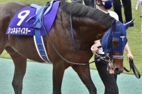 JRA「最強メンバー」集まる天皇賞・秋に残念なお知らせ、グランアレグリア陣営を悩ませた適距離問題と「ルメール不足」の既視感