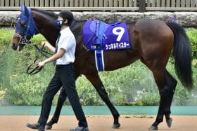 【マイラーズC（G2）展望】菊花賞（G1）1番人気ガイアフォースが1600m初挑戦！ “新装”京都競馬場の開幕重賞は伝統のマイル戦！