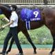 JRAスプリンターズSの裏事情。横山武史の“ダメ出し”シュネルマイスター陣営の本音と狙い