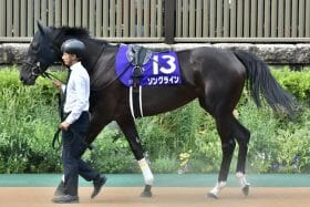 ソングライン、安田記念勝利は当然の結果!?  JRA「競馬法100周年記念」が導いた“鉄板級”サインとは【週末GJ人気記事ぶった斬り！】番外編