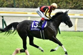 【1351ターフスプリント（G3）展望】ソングライン「連覇」の可能性は…「同世代」バスラットレオン、「引退レース」レシステンシア、「上昇」ラウダシオンにも期待