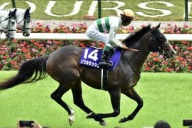 関西の実力派が「秋のマイル王」候補から降板…1度の敗戦に厳し過ぎるの声