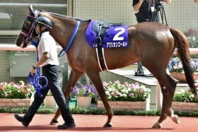 覚悟の「逃げ宣言」がタイトルホルダーをかき乱す!? 2年前にハイペース演出「第3の逃げ馬」も大本命馬の楽逃げ許さず