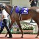 安藤勝己「複雑な心境でスタートさせた」発言が物議!? タイトルホルダーの競走中止を「事前察知」絶賛の嵐から一転…