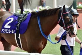 京都大賞典「大穴」警報!? 不振続きの重賞ホースが好走パターンに完全合致！