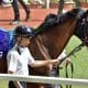 何故、セラフィックコールの「豪脚」は不発に終わったのか…元JRA安藤勝己氏が指摘する「弱点」が意外に深刻なワケ