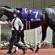 ジャパンC(G1)凱旋門賞馬アルピニスタら大挙登録も「ぬか喜び」が怖い理由