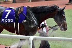 ジャパンCで「歴史的」サイン発動!? 数十年に一度の珍事で「勝ち馬」クッキリも…