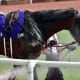 デアリングタクトは思い切って軽視、ハイレベル3歳より狙いたい特注馬を発見【エリザベス女王杯(G1)予想】