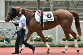 「怪物か、実績か――」武豊も頭を悩ますジャパンダートダービー（G1）に史上最強メンバー集結!? 米G1・2着馬、7戦7勝・約56馬身差の女王…JRA勢を迎え撃つ地方勢も大物揃い