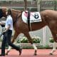 「単勝229.1倍」武豊にお手馬を奪われた若手が特大配当を演出! 今年早くも2回目の単勝2万馬券をマーク