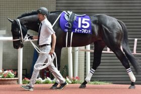 「歴代1位」ディープボンドに待った？ 国内G1未勝利で7億円以上稼いだ“黄金伝説”