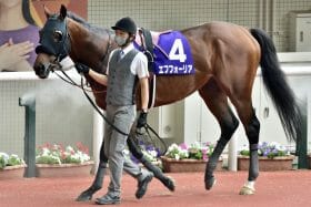 有馬記念は「超豪華」メンバー！ エフフォーリアVSタイトルホルダー最終章？