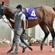横山武史「主役の春」から一転「試練の秋」へ。エフフォーリア有馬記念(G1)まで復帰せず…大舞台で「存在感なし」に拍車