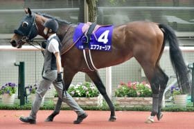 有馬記念「オールスター」濃厚も…エフフォーリア復活に波紋呼ぶライバルの参戦