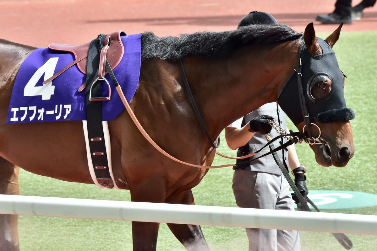 有馬記念、エフフォーリア「運命」を分けた1万9616票。オグリキャップ、トウカイテイオーに続けずの画像1