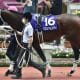 ソールオリエンスと互角の「遅れてきた大物」が5馬身差圧勝! D.レーン「ポテンシャルのある良い馬」秋の菊花賞(G1)にダークホース出現