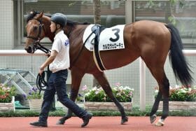 「馬場を気にしてしまった」カルロヴェローチェは5着まで…1番人気「12戦11敗」D.レーンに厳しい声