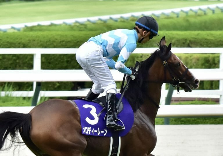 史上初無敗3冠牝馬デアリングタクトの今…引退後に北海道で繁殖