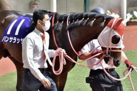 「記憶はないですが、いつの間にか産んだみたいです」ウマ娘声優が爆弾発言!? パンサラッサの配合は「ロードカナロア×グラスワンダー」の真相