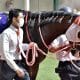 【有馬記念】G1馬9頭に「半信半疑」も期待の声多数?不意の来訪者も登録した今年… 「25年ぶり」の珍事もすでに確定