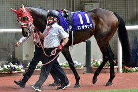 パンサラッサ札幌記念「参戦」で仁義なきハナ争いが勃発!?