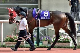 黄金旅程が築いた金字塔、産駒が狙う「最後の偉業」