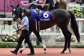 タイトルホルダーにジェラルディーナ、スターズオンアースも参戦に名乗り!?豪華絢爛にファンから「有馬記念並み」の声、大阪杯（G1）に「歴代最高」メンバー集結か