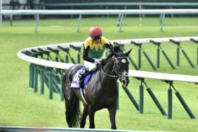 安藤勝己「複雑な心境でスタートさせた」発言が物議!? タイトルホルダーの競走中止を「事前察知」絶賛の嵐から一転…