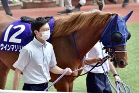 ステイゴールド重なるウインマリリンの勝利、現役続行の女王と5度目の対決あるか