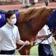 【福島記念(G3)予想】オニャンコポンは「危険な人気馬」として自信の切り!