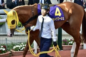 JRA天皇賞・春（G1）“複勝なら鉄板？” 令和のシルバーコレクター候補ボルドグフーシュは最強2勝馬サウンズオブアースの後継者？