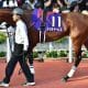 武豊「それだけは譲れない」VS「有頂天」豪州“女王”が一騎打ち! ゲート破壊でまさかの2戦連続大外発走も関係なし! 最後は鮮やか過ぎるレジェンドの神騎乗!
