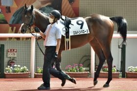 【中京記念（G3）展望】ソングラインらを撃破した毎日王冠覇者に復活気配!? 小倉巧者続々集結で混戦必至か？