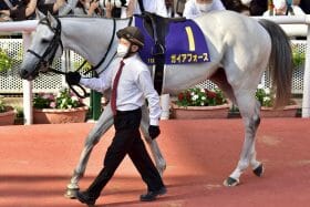 元JRA騎手2人の見解が完全一致!? 安田記念（G1）4着ガイアフォースに「〇〇でG1を狙えそう」「〇〇ならもっと無敵」